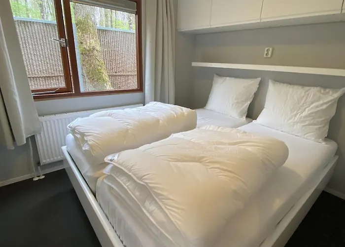 Heerlijk Midden Op De Veluwe In Hoenderloo