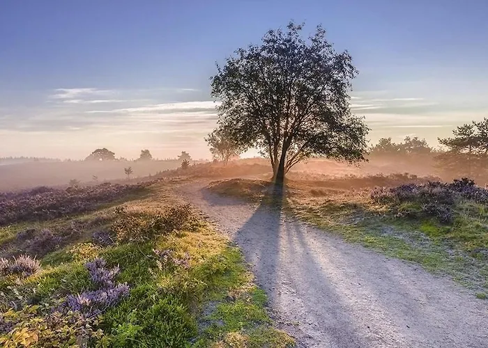 Heerlijk Midden Op De Veluwe In Hoenderloo