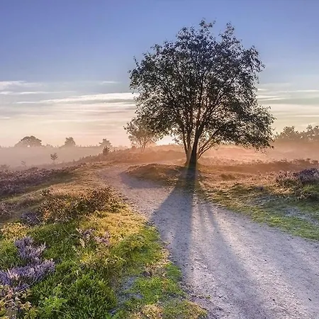 Heerlijk Midden Op De Veluwe In Hoenderloo