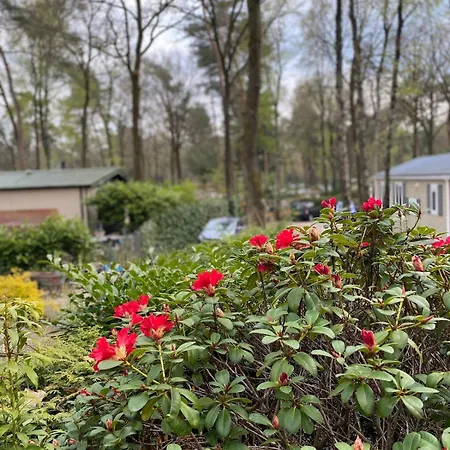 Heerlijk Midden Op De Veluwe In